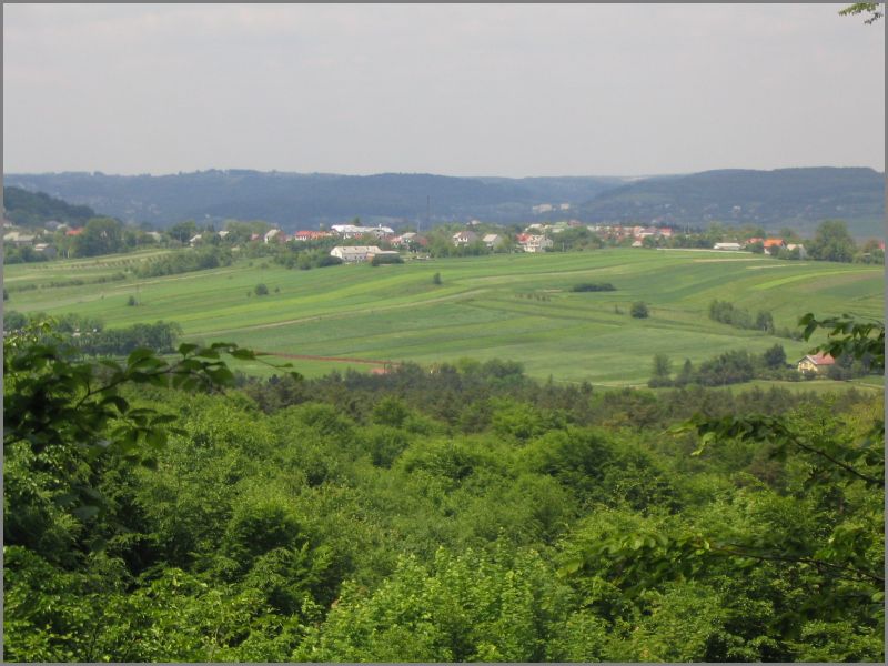 ... oczom ich ukaza si las. Niestety kolejne bdzenie