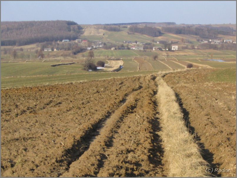 Skierbieszowski Park Krajobrazowy